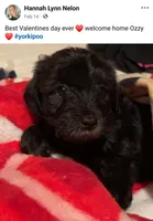 processed/23b719db-517d-4255-b9cc-a01df090a5d0/facility/e6a9ed0c-f4de-4e31-8ab3-d810aa3d801c