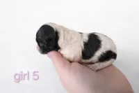 processed/23b719db-517d-4255-b9cc-a01df090a5d0/listing/6ee11823-7b20-47fe-b3b2-86cf10a167ba/c907e3c9-a399-4324-bc76-4e17cd399dd4