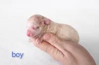 processed/23b719db-517d-4255-b9cc-a01df090a5d0/listing/74a96029-3b47-4b09-9509-5f789ad2b8eb/06e780b1-5143-4e21-bf78-e5d4caeecfdc