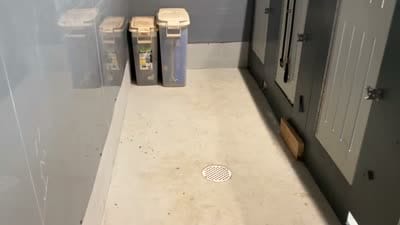 Facility video
