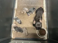 Facility photo