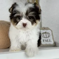 processed/23c4aceb-ed2a-4601-b344-7e3a1a9109bc/facility/14754fb6-ba0d-4d83-a764-818f1235d5cb