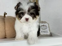 processed/23c4aceb-ed2a-4601-b344-7e3a1a9109bc/facility/14754fb6-ba0d-4d83-a764-818f1235d5cb