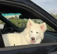 processed/23c4aceb-ed2a-4601-b344-7e3a1a9109bc/listing/1741535e-fb6a-4c29-b35c-61f9ed9c2a34/21ca52aa-c7da-489f-b215-e0dec45d1601