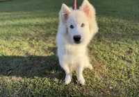 processed/23c4aceb-ed2a-4601-b344-7e3a1a9109bc/listing/1741535e-fb6a-4c29-b35c-61f9ed9c2a34/bda5bd9b-098a-4947-9b2b-27527f59f046