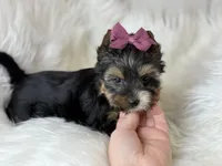 processed/23c4aceb-ed2a-4601-b344-7e3a1a9109bc/listing/93d0cc92-0c89-4cd1-bf0f-e5cfc0bd05fd/1f294dfc-ee94-463f-bfc4-c95a978582cd