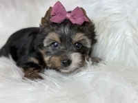 processed/23c4aceb-ed2a-4601-b344-7e3a1a9109bc/listing/93d0cc92-0c89-4cd1-bf0f-e5cfc0bd05fd/5d705687-806b-4af7-bc2b-8f1397711ba1