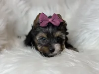 processed/23c4aceb-ed2a-4601-b344-7e3a1a9109bc/listing/93d0cc92-0c89-4cd1-bf0f-e5cfc0bd05fd/6ae1dbfc-b9d8-4ca9-830c-6609d002f35a