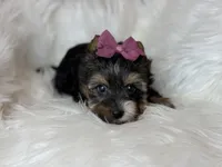 processed/23c4aceb-ed2a-4601-b344-7e3a1a9109bc/listing/93d0cc92-0c89-4cd1-bf0f-e5cfc0bd05fd/b2cf835d-ecaa-4906-ab7e-a635e2036805