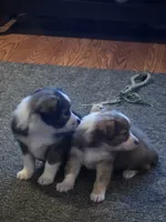 processed/23c6cc2d-dae0-4180-b2fa-3d8f3a1db184/listing/a64e935b-cca0-44b6-8d1a-7e76e8e3a165/160ac951-83bc-4ceb-a730-63cfc93223e7