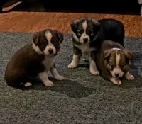 processed/23c6cc2d-dae0-4180-b2fa-3d8f3a1db184/listing/a64e935b-cca0-44b6-8d1a-7e76e8e3a165/339ce93d-8a07-41cd-a7a4-7e84e0e88db6