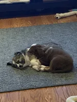 processed/23c6cc2d-dae0-4180-b2fa-3d8f3a1db184/listing/a64e935b-cca0-44b6-8d1a-7e76e8e3a165/3dca6050-1869-4462-9bb5-86dd17551691