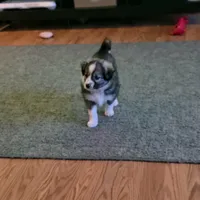 processed/23c6cc2d-dae0-4180-b2fa-3d8f3a1db184/listing/a64e935b-cca0-44b6-8d1a-7e76e8e3a165/a12cedb5-37a9-4a4b-a285-5943231132e2