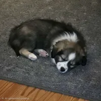 processed/23c6cc2d-dae0-4180-b2fa-3d8f3a1db184/listing/a64e935b-cca0-44b6-8d1a-7e76e8e3a165/c9a47777-168d-43ee-808d-7c108d72d418