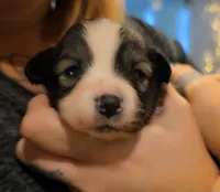 processed/23c6cc2d-dae0-4180-b2fa-3d8f3a1db184/listing/a64e935b-cca0-44b6-8d1a-7e76e8e3a165/e5c4403d-59b3-4b8e-bfe1-05328fa3c16f