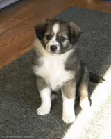 processed/23c6cc2d-dae0-4180-b2fa-3d8f3a1db184/listing/a64e935b-cca0-44b6-8d1a-7e76e8e3a165/ec7592f6-b3f1-457f-a4dd-561d90a535b5