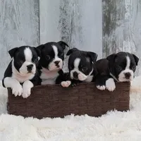 processed/23c79fbd-ff69-4d74-b72e-60b5c931ae35/facility/b1912162-918f-4b53-8bbb-e1d4970b406f