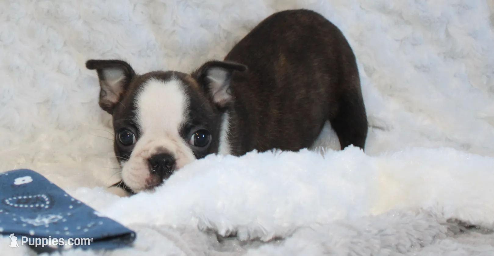 processed/23c79fbd-ff69-4d74-b72e-60b5c931ae35/listing/11727430-93c4-48df-8524-e98a61cf9076/2d8077c7-08d4-4260-b9e0-74c8b785e4f7