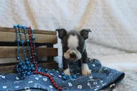 processed/23c79fbd-ff69-4d74-b72e-60b5c931ae35/listing/11727430-93c4-48df-8524-e98a61cf9076/4d5d24d0-6ab2-46eb-abb7-23c8a1aa3cce