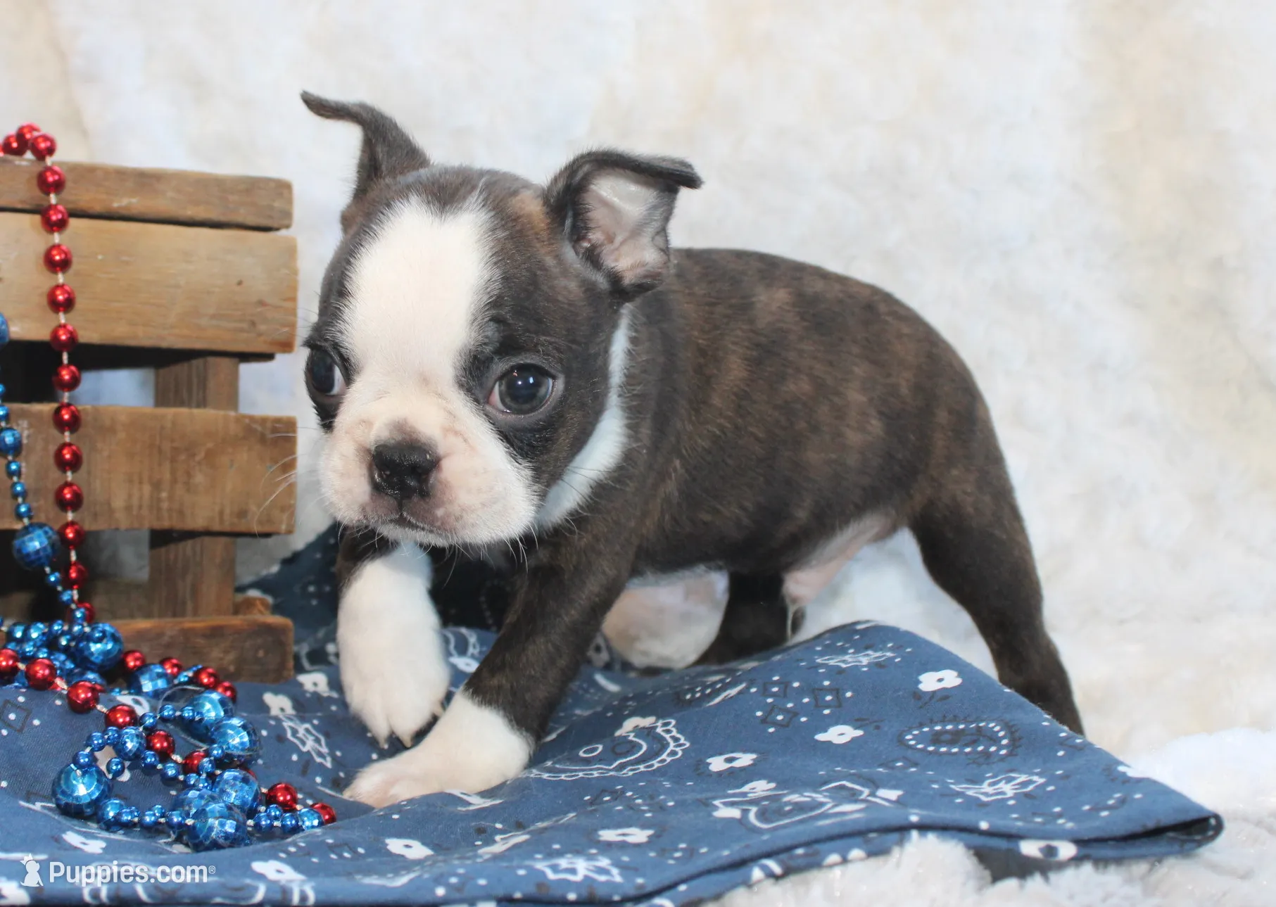 processed/23c79fbd-ff69-4d74-b72e-60b5c931ae35/listing/11727430-93c4-48df-8524-e98a61cf9076/892eed2f-4440-4d6b-a718-75f2781a6599