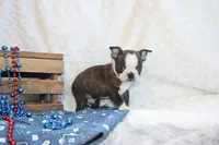 processed/23c79fbd-ff69-4d74-b72e-60b5c931ae35/listing/11727430-93c4-48df-8524-e98a61cf9076/9dde75a9-1148-46cb-8f8a-d477613d4c74