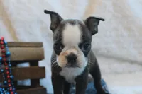 processed/23c79fbd-ff69-4d74-b72e-60b5c931ae35/listing/11727430-93c4-48df-8524-e98a61cf9076/e793b093-046c-4556-9e89-8f3412192132