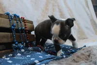 processed/23c79fbd-ff69-4d74-b72e-60b5c931ae35/listing/11727430-93c4-48df-8524-e98a61cf9076/f9c9a5a4-989d-4a76-9ff1-92e962e077c2