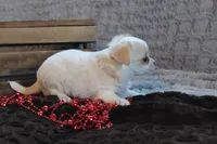 processed/23c79fbd-ff69-4d74-b72e-60b5c931ae35/listing/4a2f4eb6-e63e-480a-894e-5b5f2037429c/09449c9e-0dcf-436f-abe4-87bd173891c0