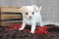 processed/23c79fbd-ff69-4d74-b72e-60b5c931ae35/listing/4a2f4eb6-e63e-480a-894e-5b5f2037429c/0de85ad0-fc60-4253-9f61-20d4b3e9a42f