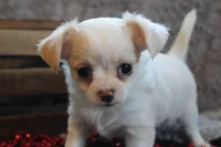 processed/23c79fbd-ff69-4d74-b72e-60b5c931ae35/listing/4a2f4eb6-e63e-480a-894e-5b5f2037429c/1f61b8fd-f040-474f-a4ed-78e6178b9a60