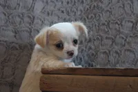 processed/23c79fbd-ff69-4d74-b72e-60b5c931ae35/listing/4a2f4eb6-e63e-480a-894e-5b5f2037429c/7bdb295a-bc59-4305-88f4-6e3bdc1786d0