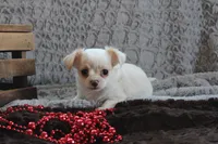 processed/23c79fbd-ff69-4d74-b72e-60b5c931ae35/listing/4a2f4eb6-e63e-480a-894e-5b5f2037429c/a87608a6-edda-494c-abfa-d99e902ed5c8