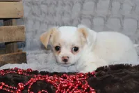 processed/23c79fbd-ff69-4d74-b72e-60b5c931ae35/listing/4a2f4eb6-e63e-480a-894e-5b5f2037429c/c062218e-1d20-41c6-afcd-154469c4a8bd