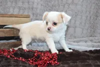 processed/23c79fbd-ff69-4d74-b72e-60b5c931ae35/listing/4a2f4eb6-e63e-480a-894e-5b5f2037429c/cd965784-f935-44f0-977f-bc20d361c20a