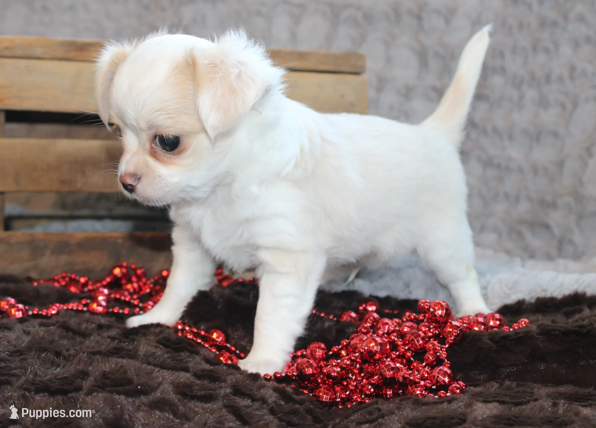 processed/23c79fbd-ff69-4d74-b72e-60b5c931ae35/listing/4a2f4eb6-e63e-480a-894e-5b5f2037429c/daaa67a8-6a50-40f2-a016-92620802c3cc