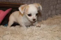 processed/23c79fbd-ff69-4d74-b72e-60b5c931ae35/listing/900fca45-9375-400d-82da-d532fe4adbfa/1da1c718-f928-46fd-ae5d-9908d2f2c603