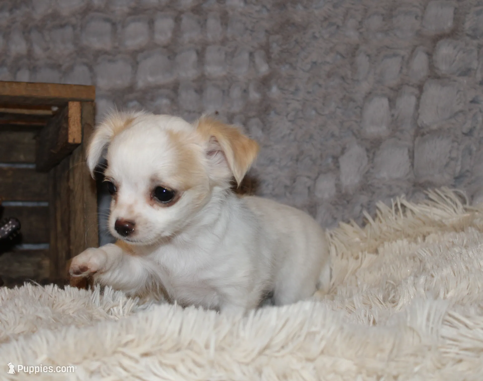 processed/23c79fbd-ff69-4d74-b72e-60b5c931ae35/listing/900fca45-9375-400d-82da-d532fe4adbfa/77f4e6b5-6d9c-41a1-b167-397a449c4b99