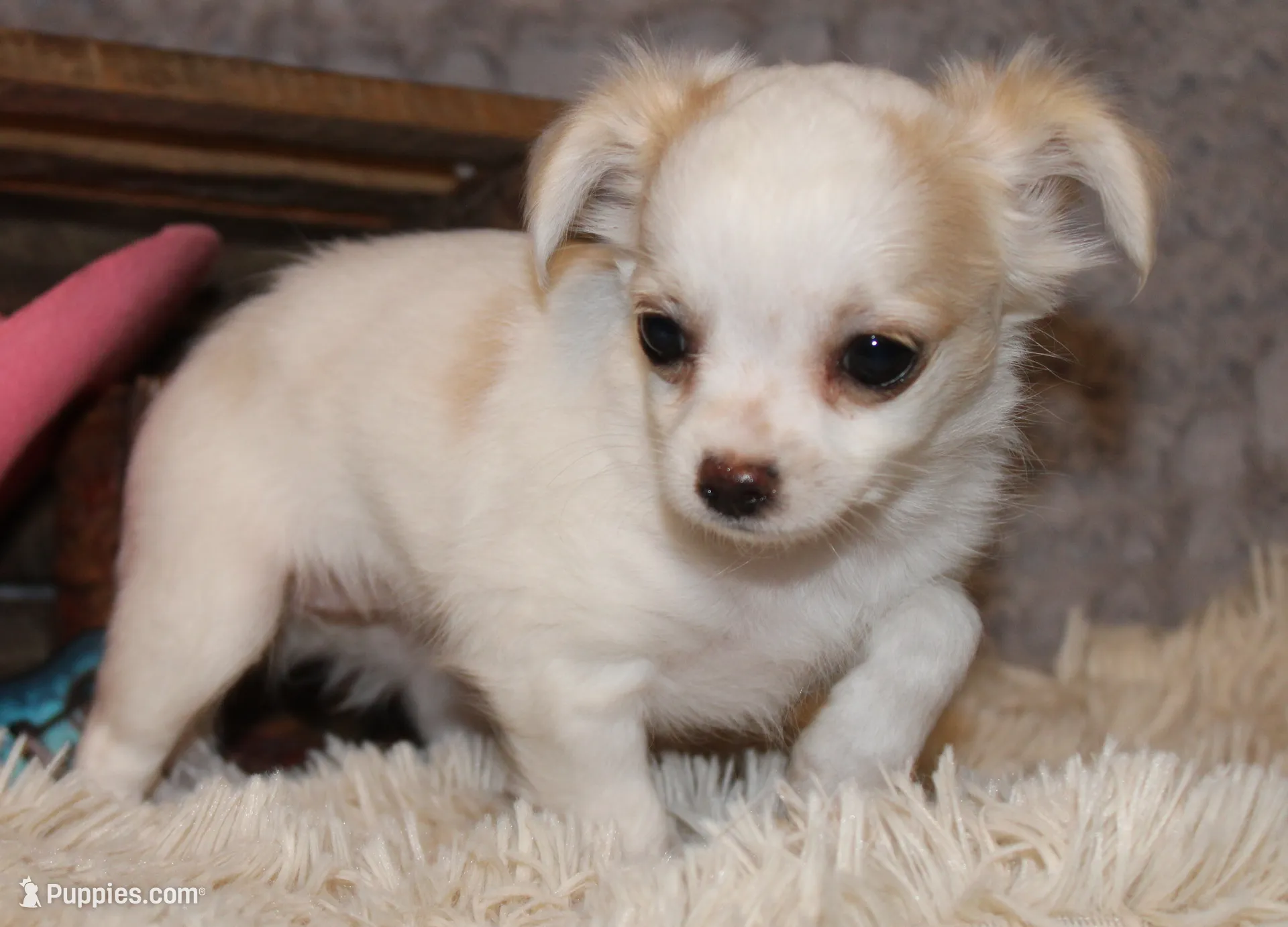 processed/23c79fbd-ff69-4d74-b72e-60b5c931ae35/listing/900fca45-9375-400d-82da-d532fe4adbfa/a0b84dac-bb22-460f-8031-bfd107616314