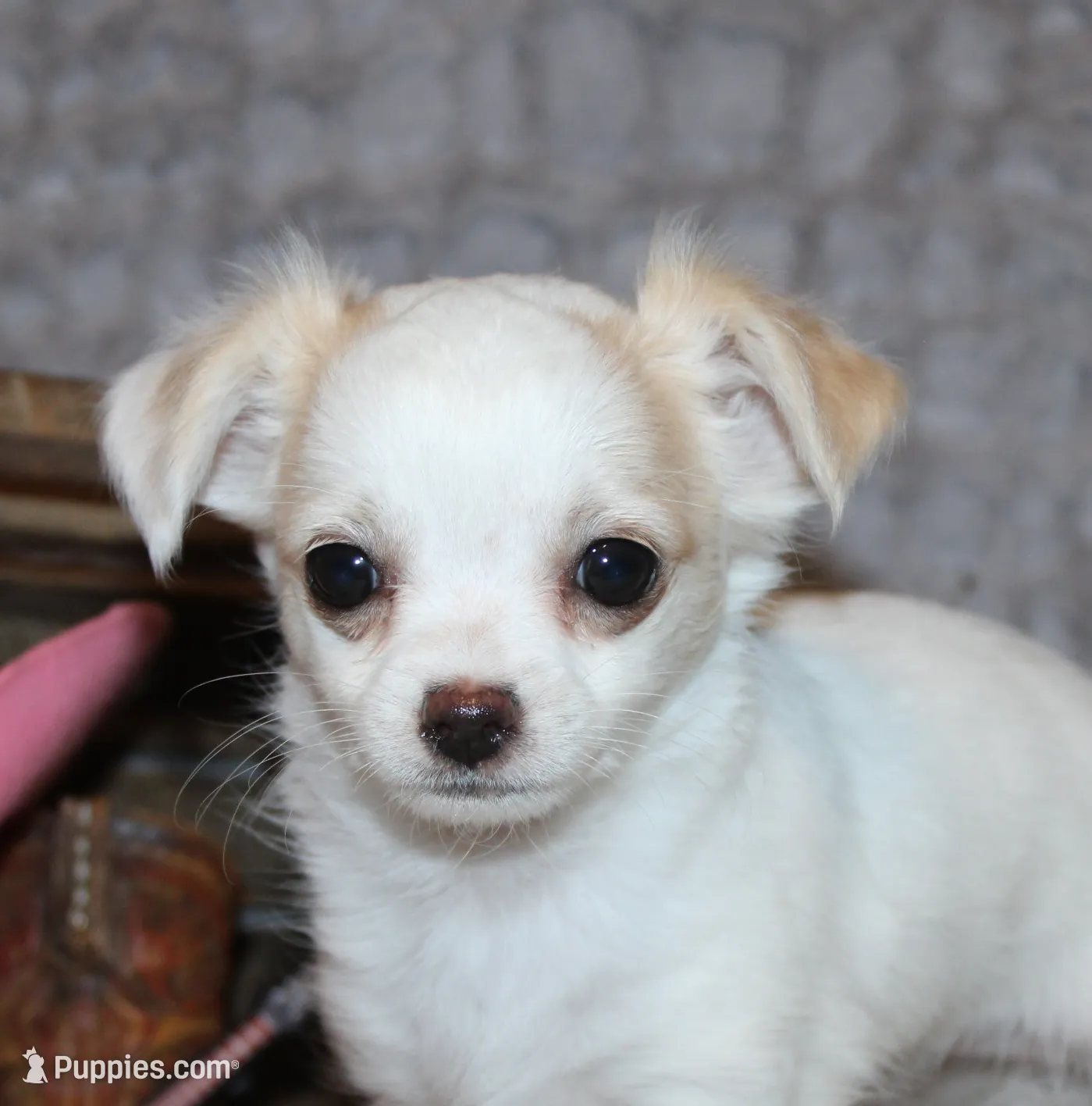 processed/23c79fbd-ff69-4d74-b72e-60b5c931ae35/listing/900fca45-9375-400d-82da-d532fe4adbfa/d6e5a863-e874-480d-9f87-39c971f9b86e