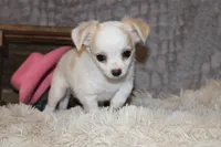 processed/23c79fbd-ff69-4d74-b72e-60b5c931ae35/listing/900fca45-9375-400d-82da-d532fe4adbfa/e907bdd1-8a83-47ed-9385-4511d41212d1