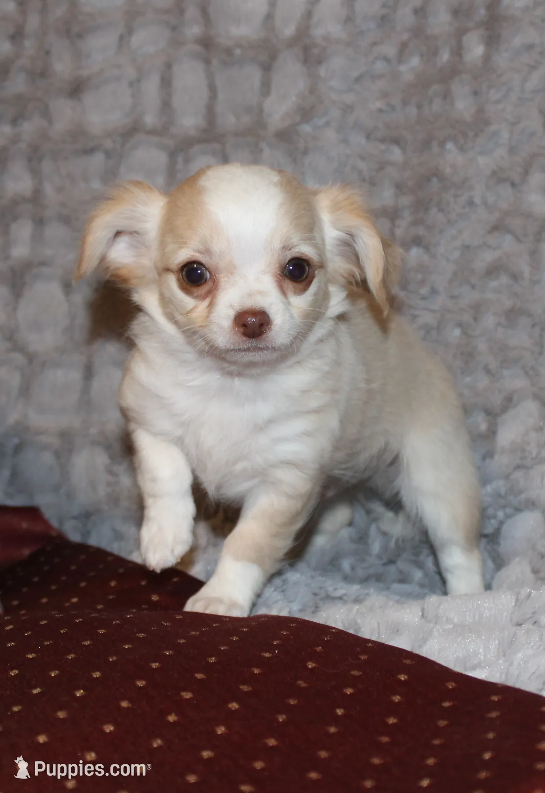 processed/23c79fbd-ff69-4d74-b72e-60b5c931ae35/listing/dbfc2383-9651-40c1-9b16-7160c4654e4e/0d331035-efb4-4476-a329-beee71ebb783