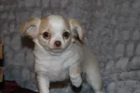 processed/23c79fbd-ff69-4d74-b72e-60b5c931ae35/listing/dbfc2383-9651-40c1-9b16-7160c4654e4e/701fc840-7db7-4417-9a36-2a35dd03263f