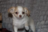 processed/23c79fbd-ff69-4d74-b72e-60b5c931ae35/listing/dbfc2383-9651-40c1-9b16-7160c4654e4e/873c25e6-7c13-4205-9fe6-225f0239ec10