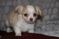 processed/23c79fbd-ff69-4d74-b72e-60b5c931ae35/listing/dbfc2383-9651-40c1-9b16-7160c4654e4e/89c0f062-8cb2-458d-b170-539db7bb57d1