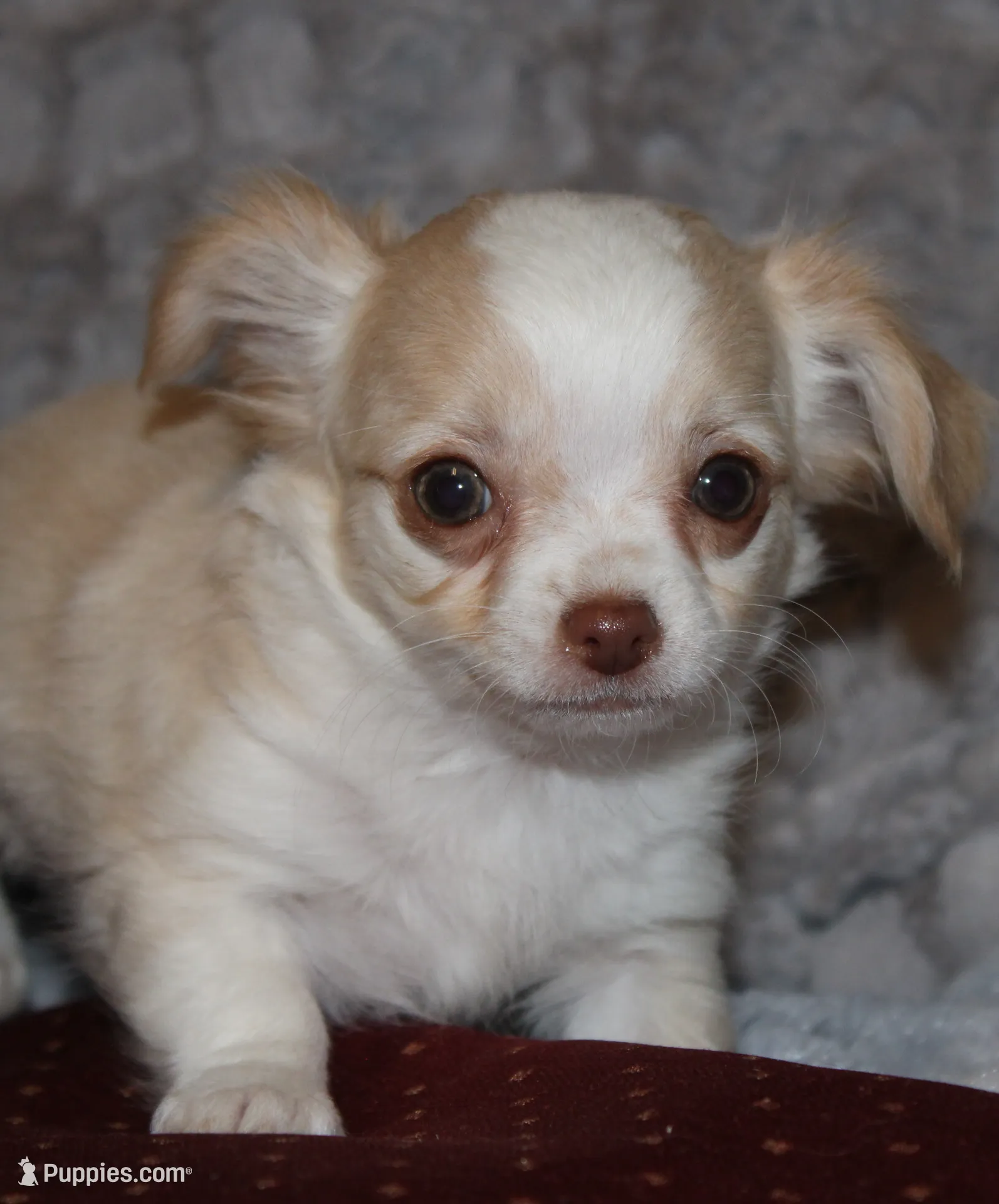 processed/23c79fbd-ff69-4d74-b72e-60b5c931ae35/listing/dbfc2383-9651-40c1-9b16-7160c4654e4e/a59a5ecd-d016-4af9-a30b-7cc9985ebe0c