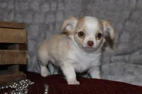 processed/23c79fbd-ff69-4d74-b72e-60b5c931ae35/listing/dbfc2383-9651-40c1-9b16-7160c4654e4e/b61ab0d9-ea7e-4b66-b16d-8f1af0ac7e64