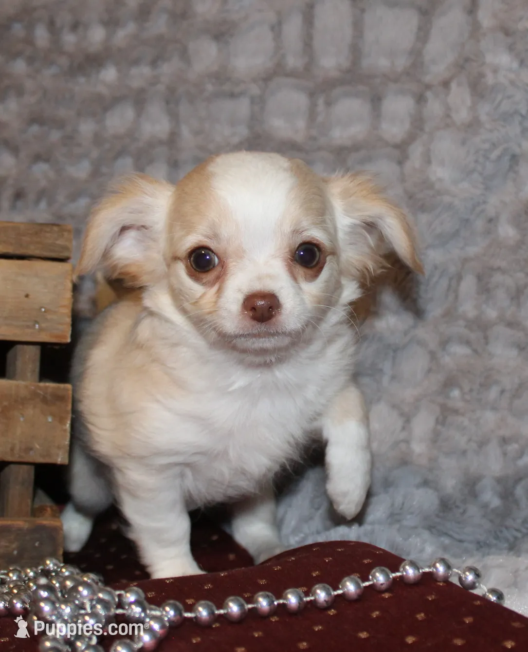 processed/23c79fbd-ff69-4d74-b72e-60b5c931ae35/listing/dbfc2383-9651-40c1-9b16-7160c4654e4e/cda60575-9a24-4248-a196-86d8e00c1bbe