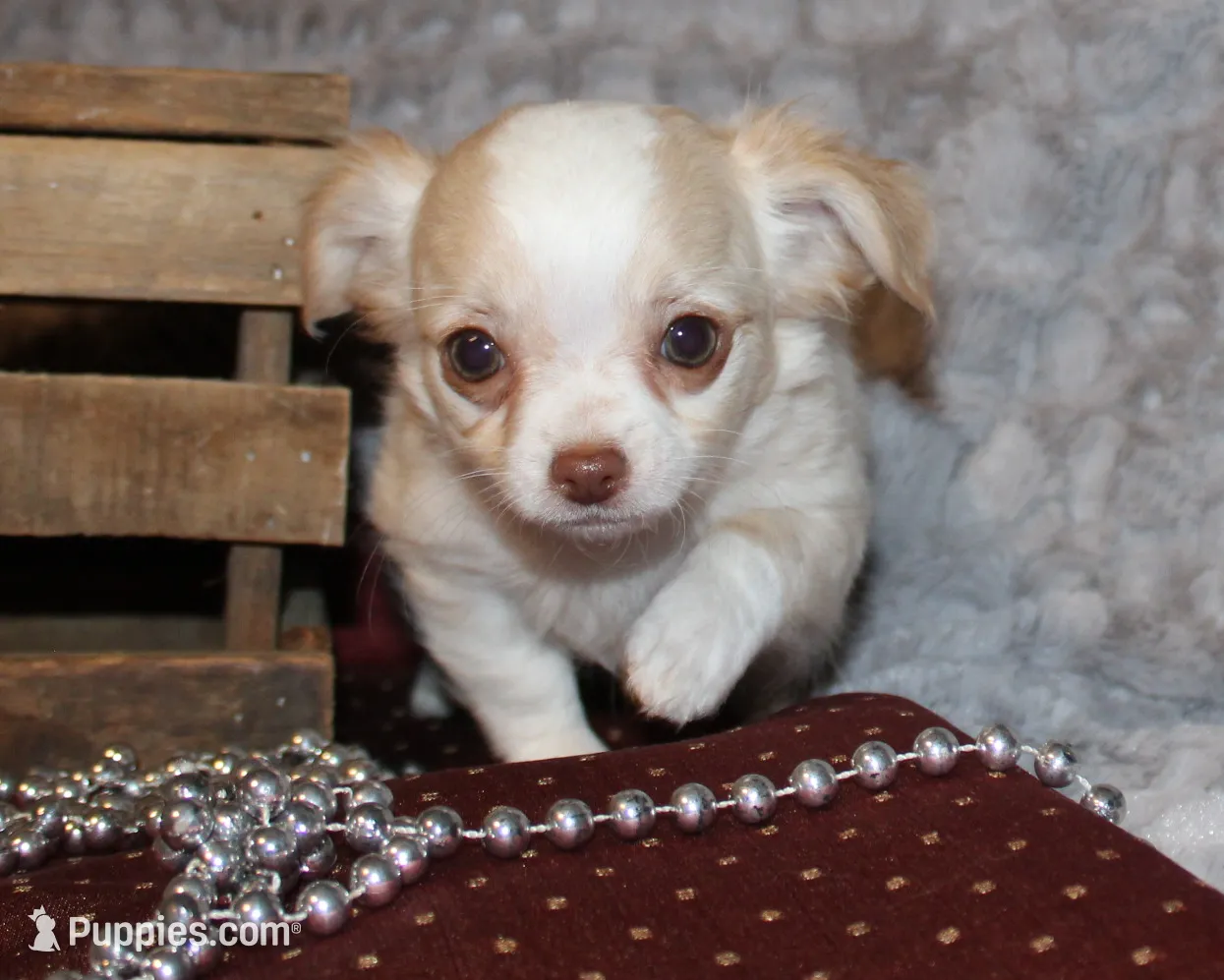 processed/23c79fbd-ff69-4d74-b72e-60b5c931ae35/listing/dbfc2383-9651-40c1-9b16-7160c4654e4e/eb1dfd83-b54d-499b-8bb9-c2cc6a0376db