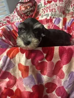 processed/23dfc5cc-acdf-4aeb-b529-e038afc8c141/listing/afb54725-21ac-4338-82fe-d27802728f84/5b47725e-535b-4819-976d-5477eebd7d30