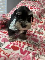 processed/23dfc5cc-acdf-4aeb-b529-e038afc8c141/listing/afb54725-21ac-4338-82fe-d27802728f84/60923534-343c-491f-90a2-ecfa823ed8f2